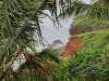 tropical nature