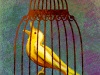 L'uccello d'oro Fratelli Grimm