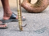 India; Kerala; Indu parade; elefanti; elephant; animal abuse