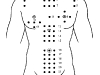 illustrazioni-agopuntura-corpo anteriore2