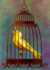 L'uccello d'oro Fratelli Grimm