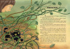Paola-Minelli-illustrator-Cagliostro scena1