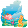 pesce-e-cavalluccio